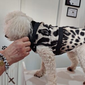 Animal Print Bandas negras